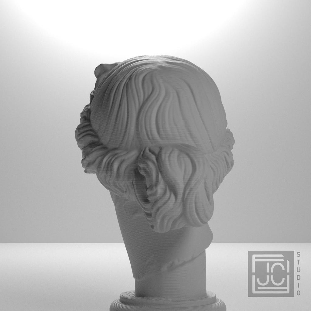 Apollo Giustiniani 3D Printed Collectible Bust