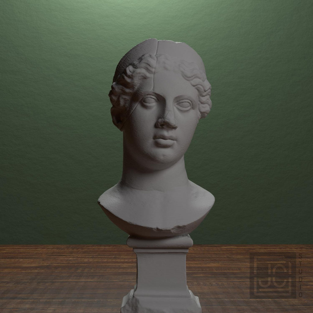 Juno 3D Printed Collectible Bust