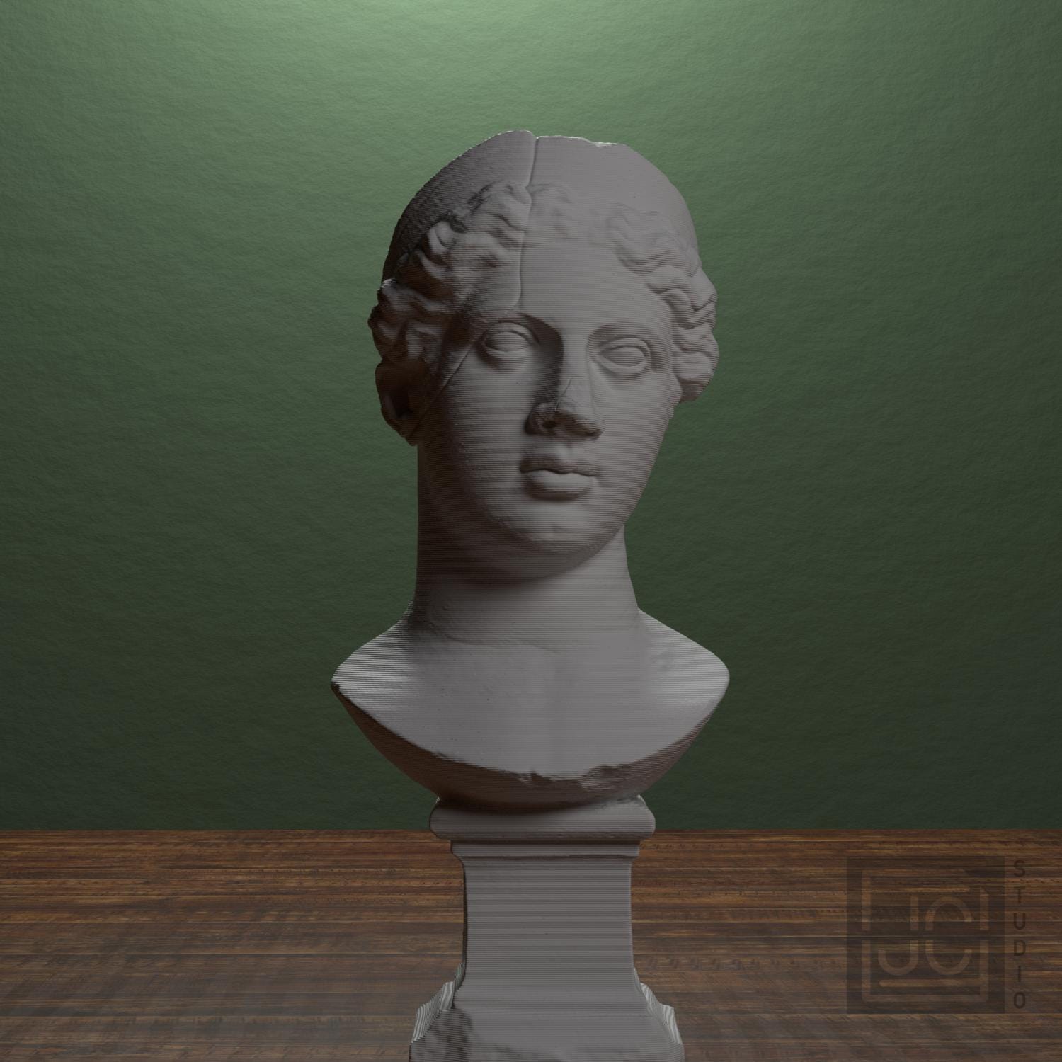 Juno 3D Printed Collectible Bust