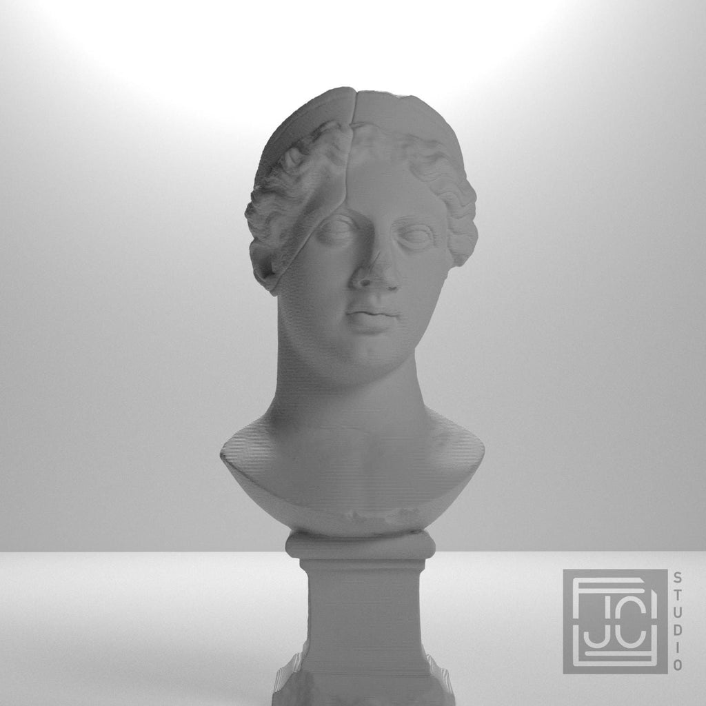 Juno 3D Printed Collectible Bust