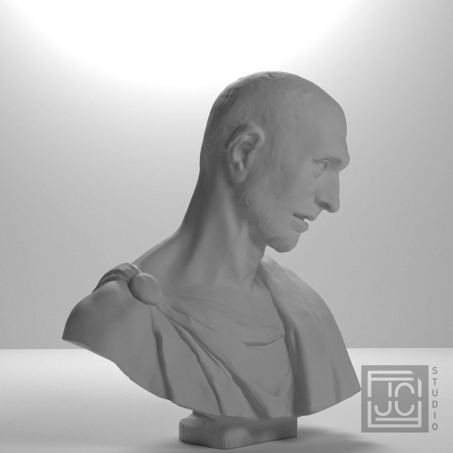 Museum Portrait 3D Printed Collectible Bust