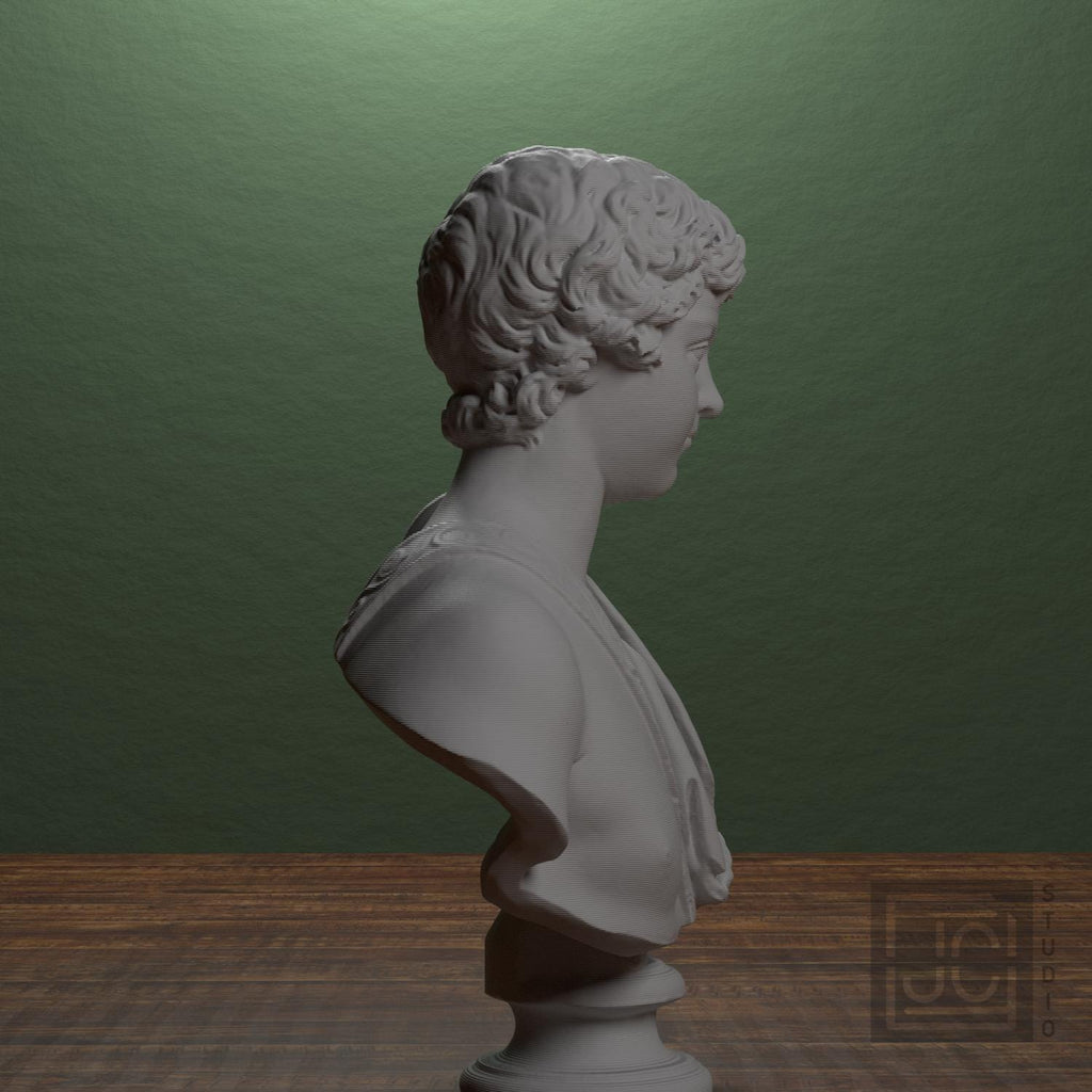 Young Caracalla 3D Printed Collectible Bust