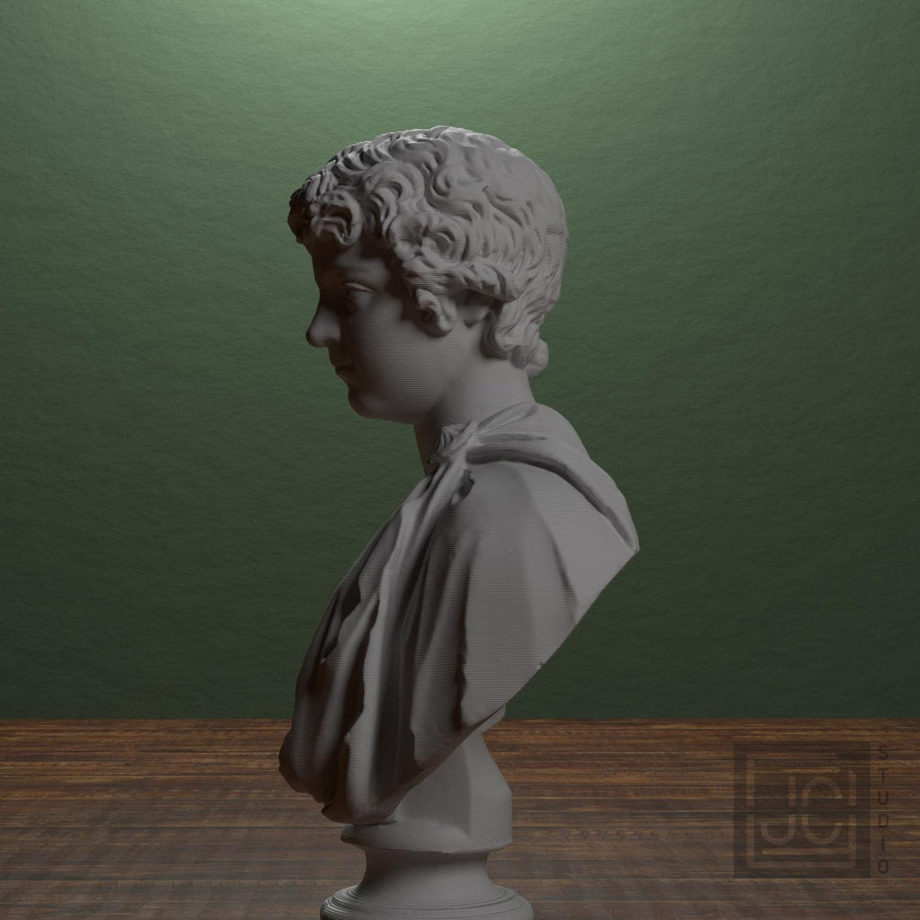 Young Caracalla 3D Printed Collectible Bust