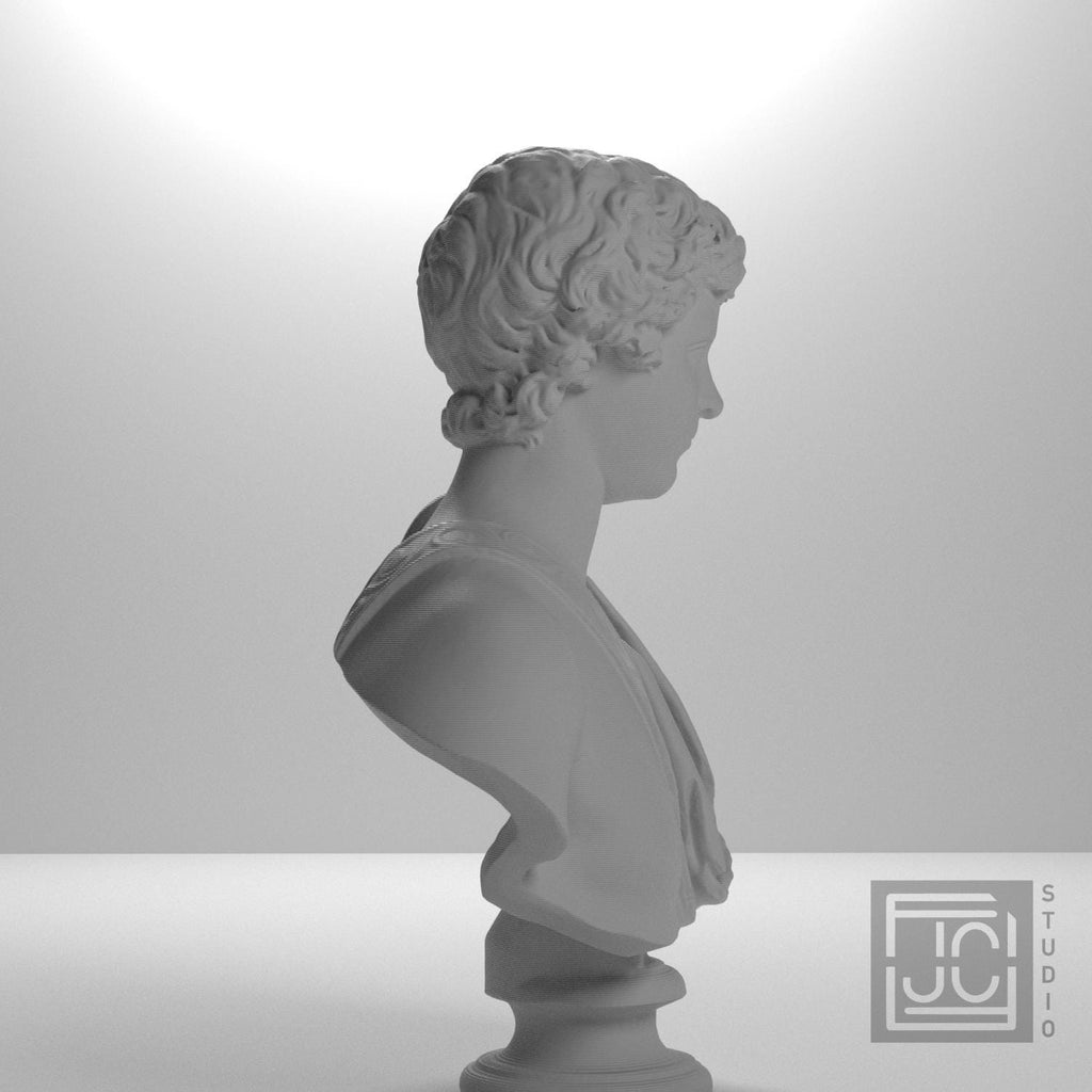 Young Caracalla 3D Printed Collectible Bust