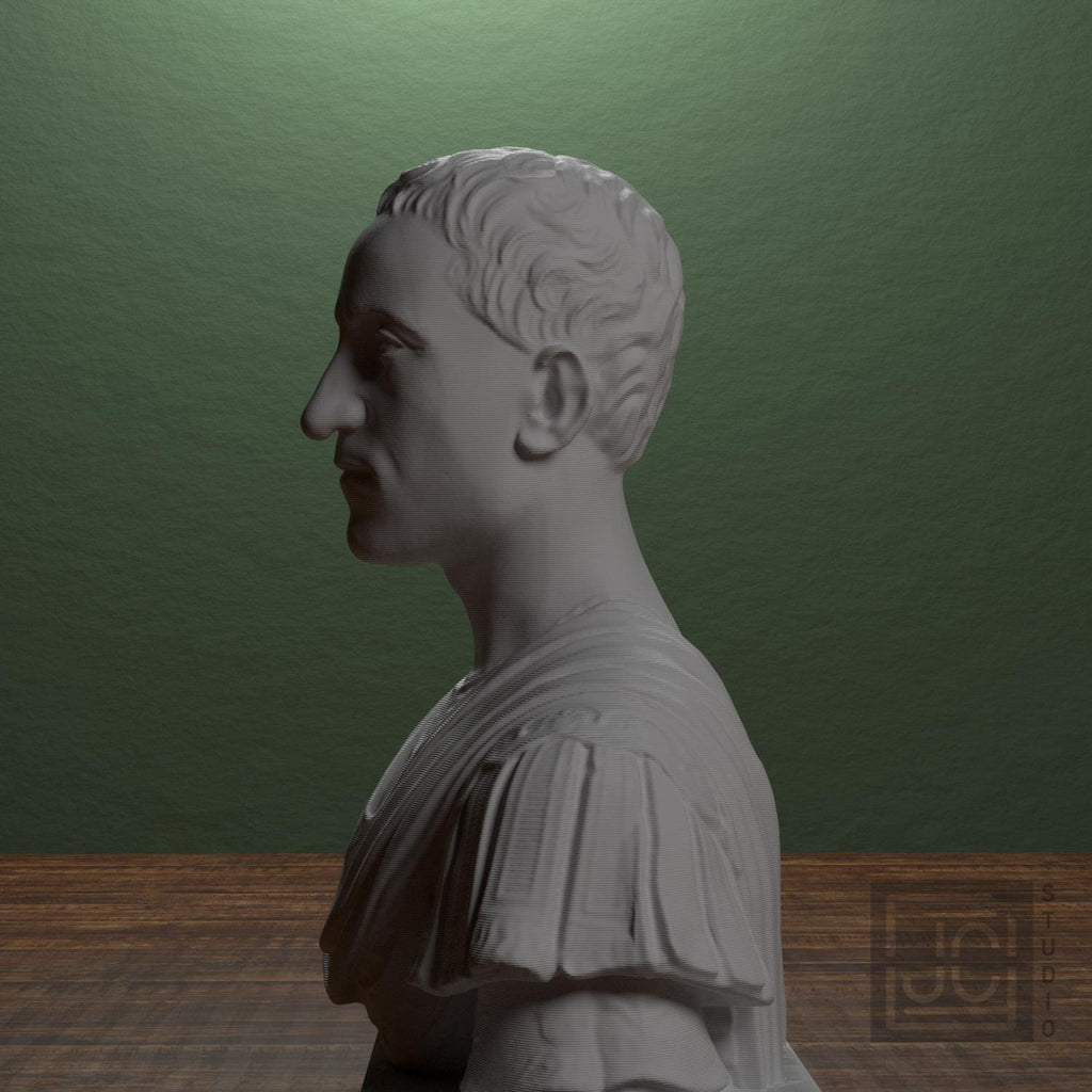 Giovanni di Cosimo de' Medici 3D Printed Collectible Bust