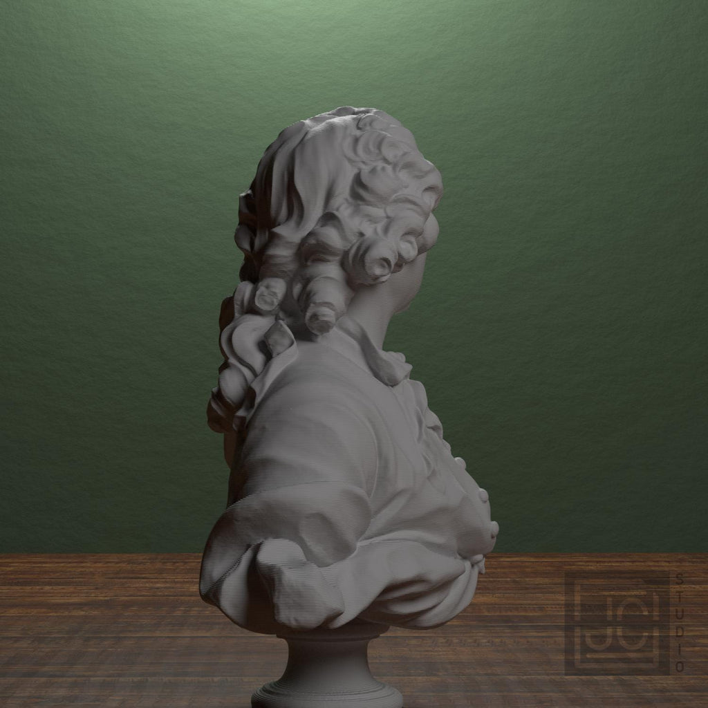C. G. T. Taraval 3D Printed Collectible Bust