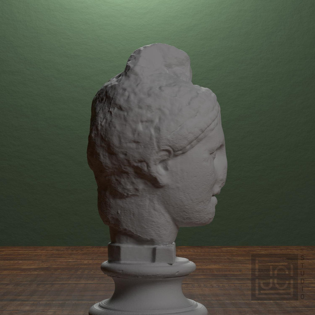 Apollo Fragment 3D Printed Collectible Bust