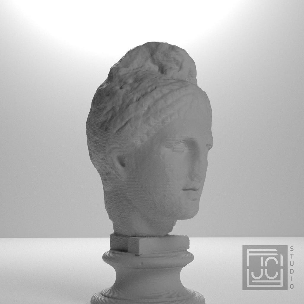 Apollo Fragment 3D Printed Collectible Bust