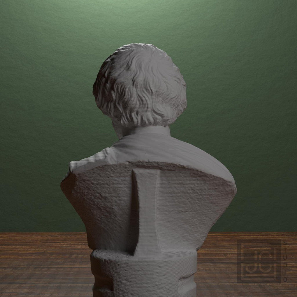 Portrait Bust of a Barbarian 3D Printed Museum Replica