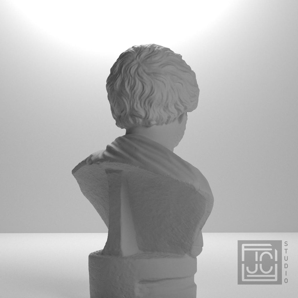 Portrait Bust of a Barbarian 3D Printed Museum Replica