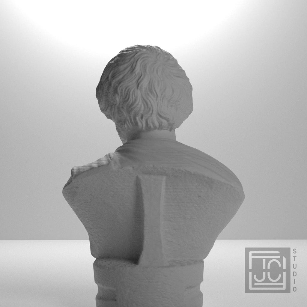 Portrait Bust of a Barbarian 3D Printed Museum Replica