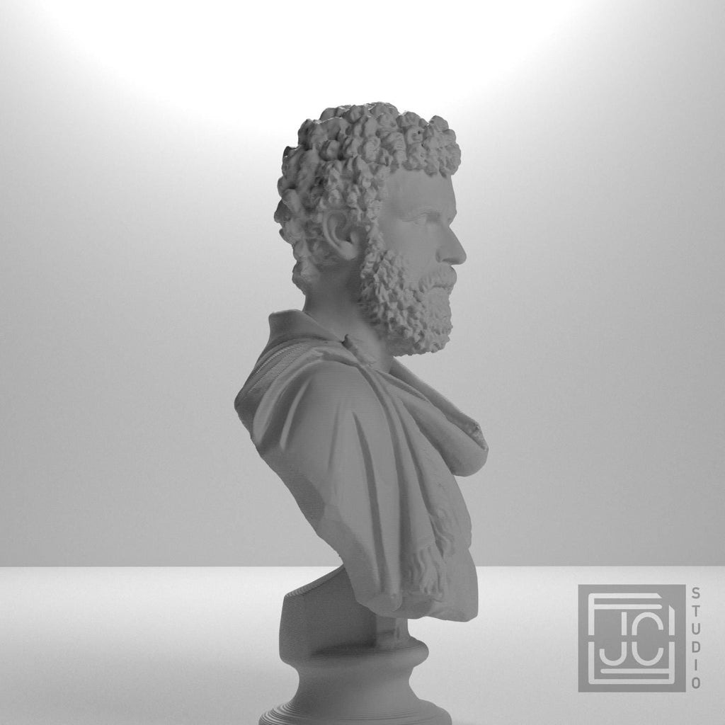 Draped Man (Formerly Clodius Albinus) 3D Printed Collectible Bust