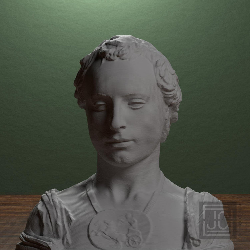 Young Man with a Medallion 3D Printed Collectible Bust