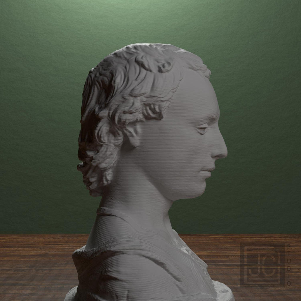 Young Man with a Medallion 3D Printed Collectible Bust