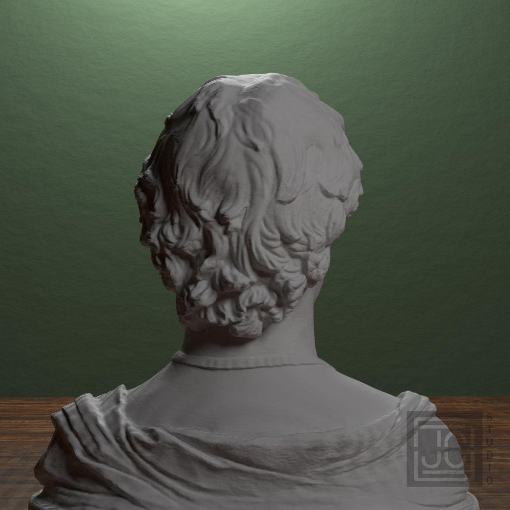 Young Man with a Medallion 3D Printed Collectible Bust