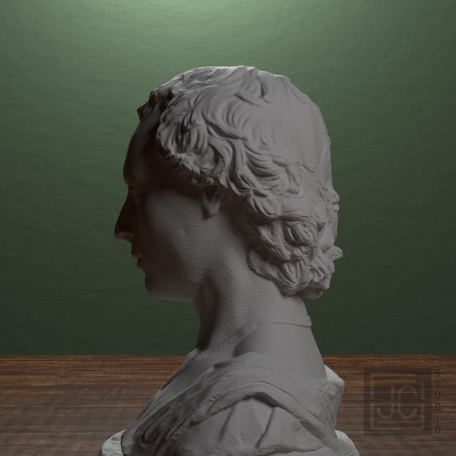 Young Man with a Medallion 3D Printed Collectible Bust