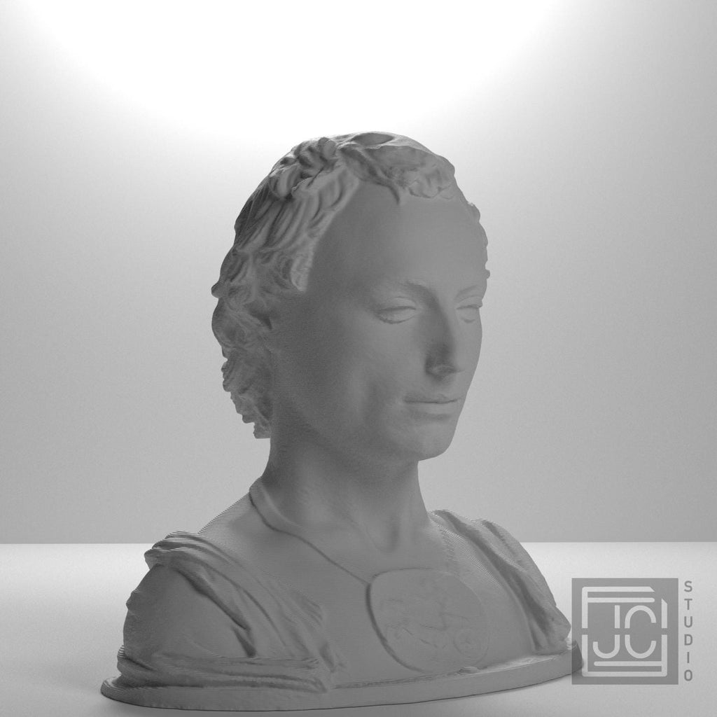 Young Man with a Medallion 3D Printed Collectible Bust
