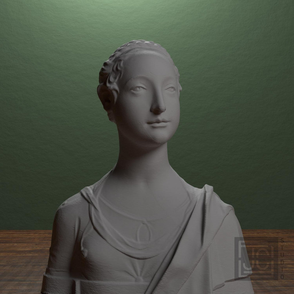 Portrait of a Young Girl 3D Printed Collectible Bust