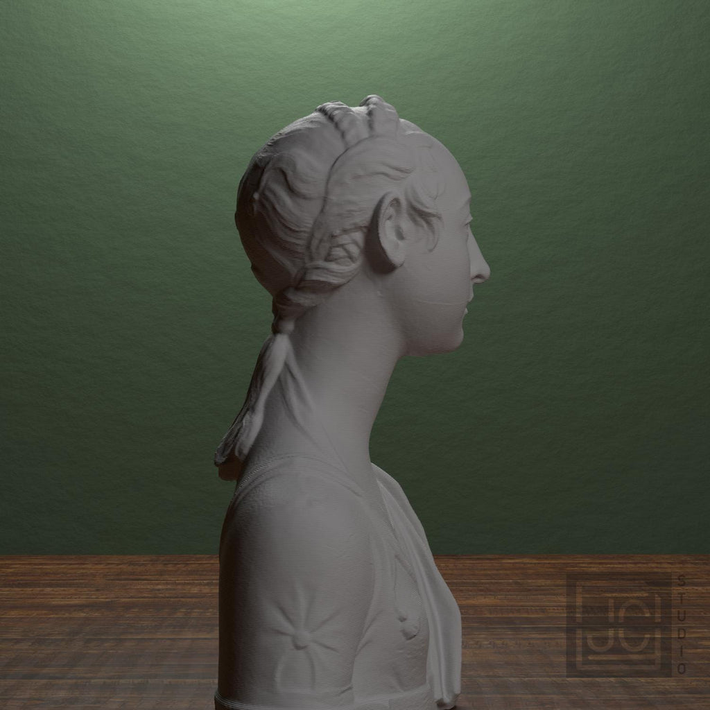Portrait of a Young Girl 3D Printed Collectible Bust