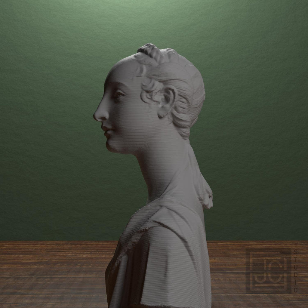 Portrait of a Young Girl 3D Printed Collectible Bust