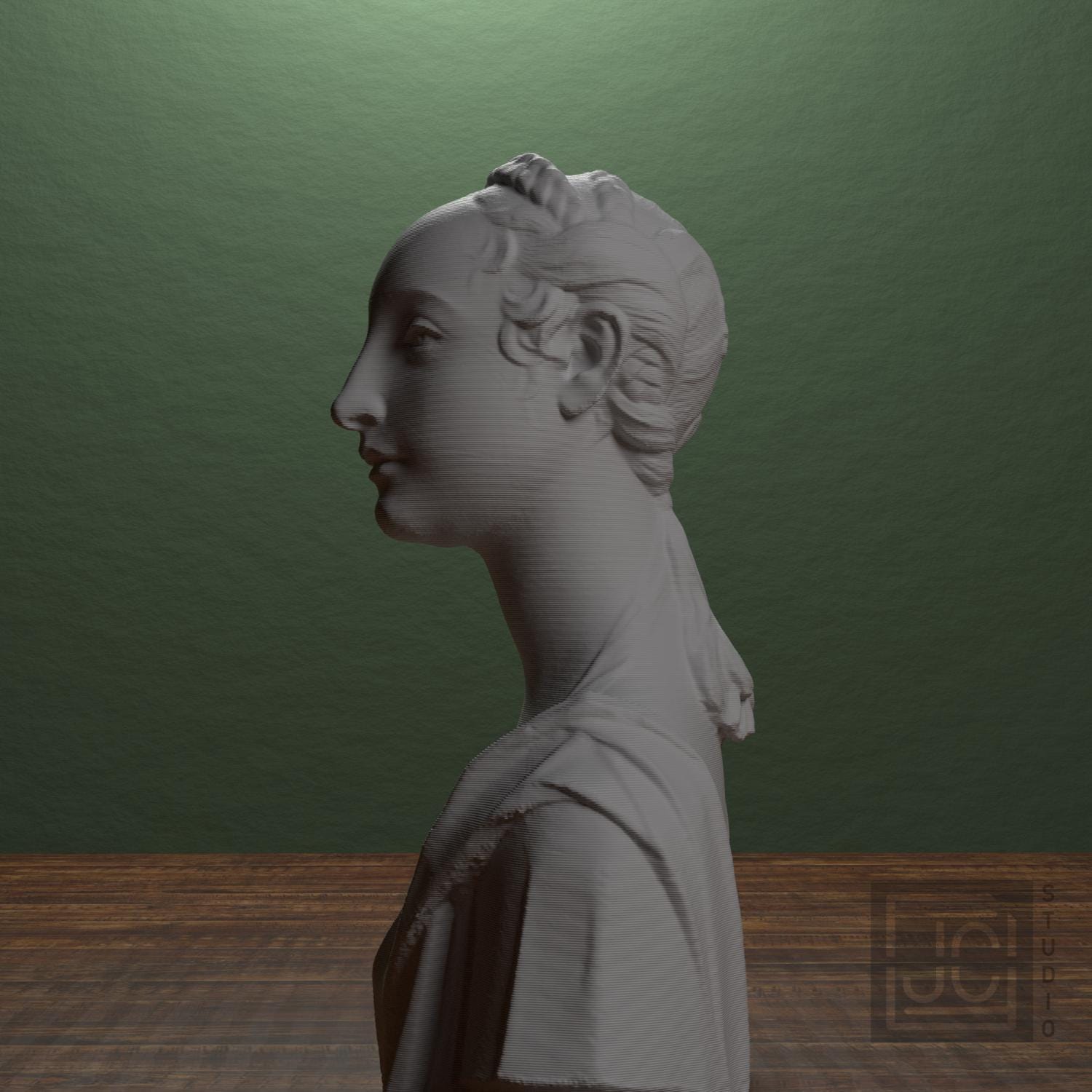 Portrait of a Young Girl 3D Printed Collectible Bust