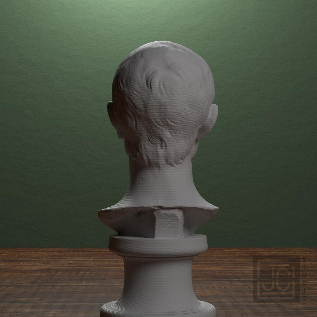 Julius Caesar Portrait No. 0344 3D Printed Collectible Bust