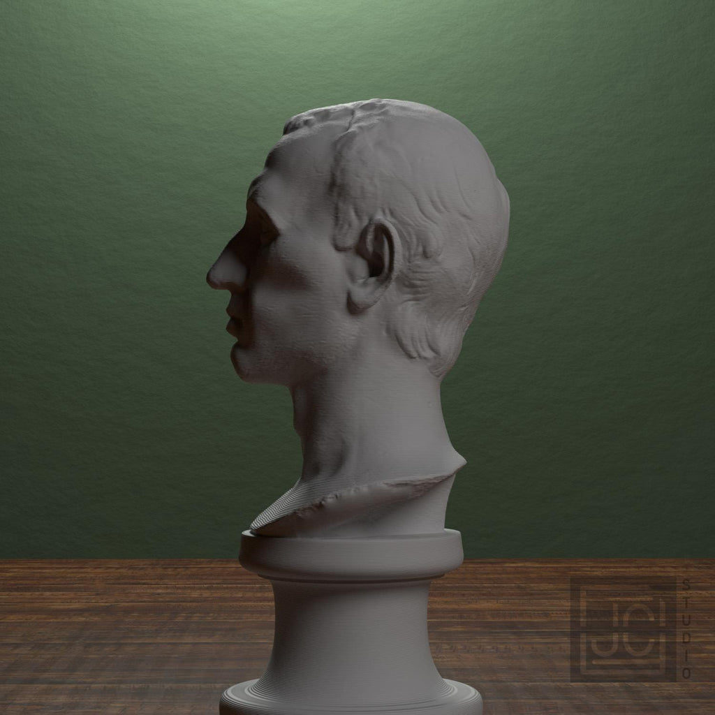 Julius Caesar Portrait No. 0344 3D Printed Collectible Bust