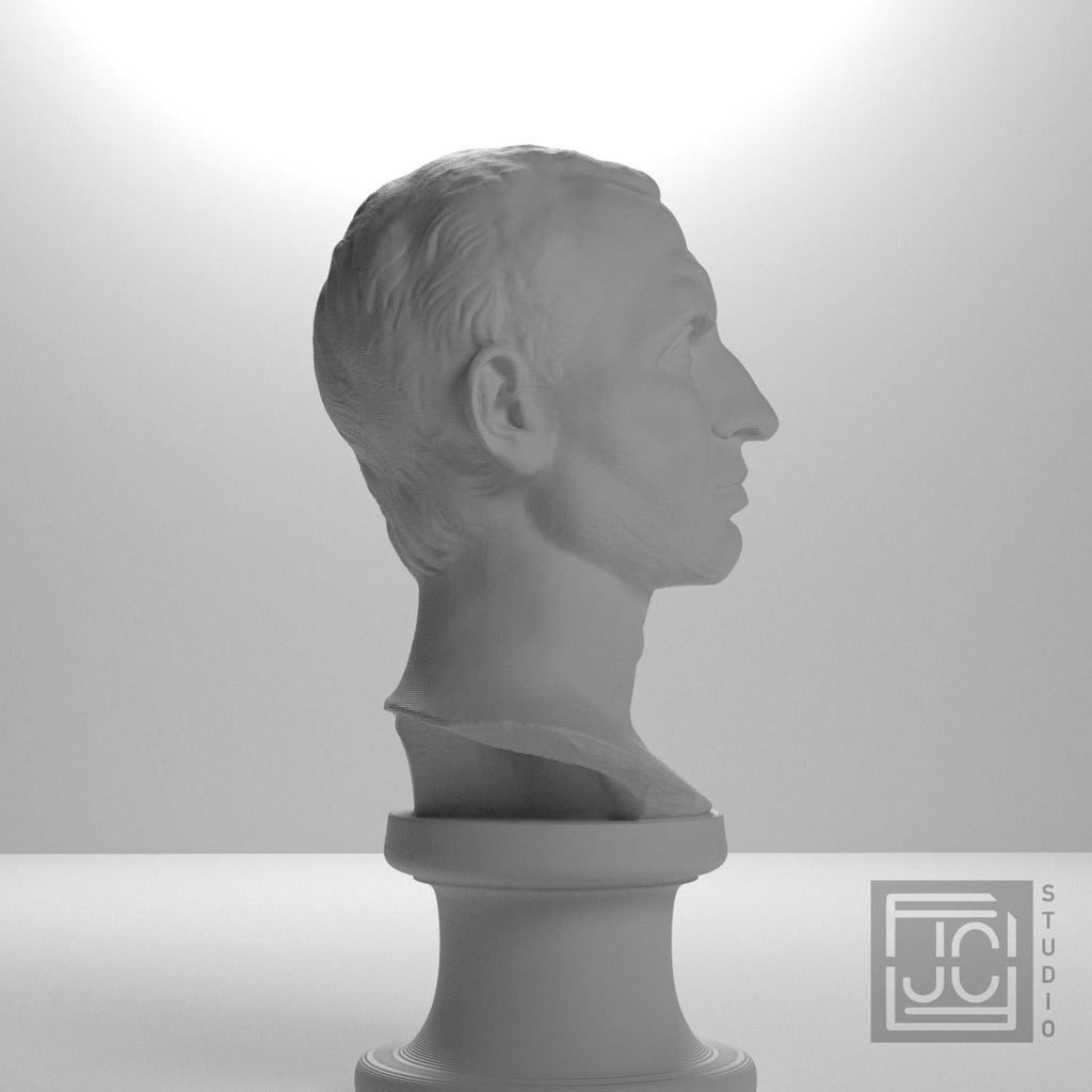 Julius Caesar Portrait No. 0344 3D Printed Collectible Bust
