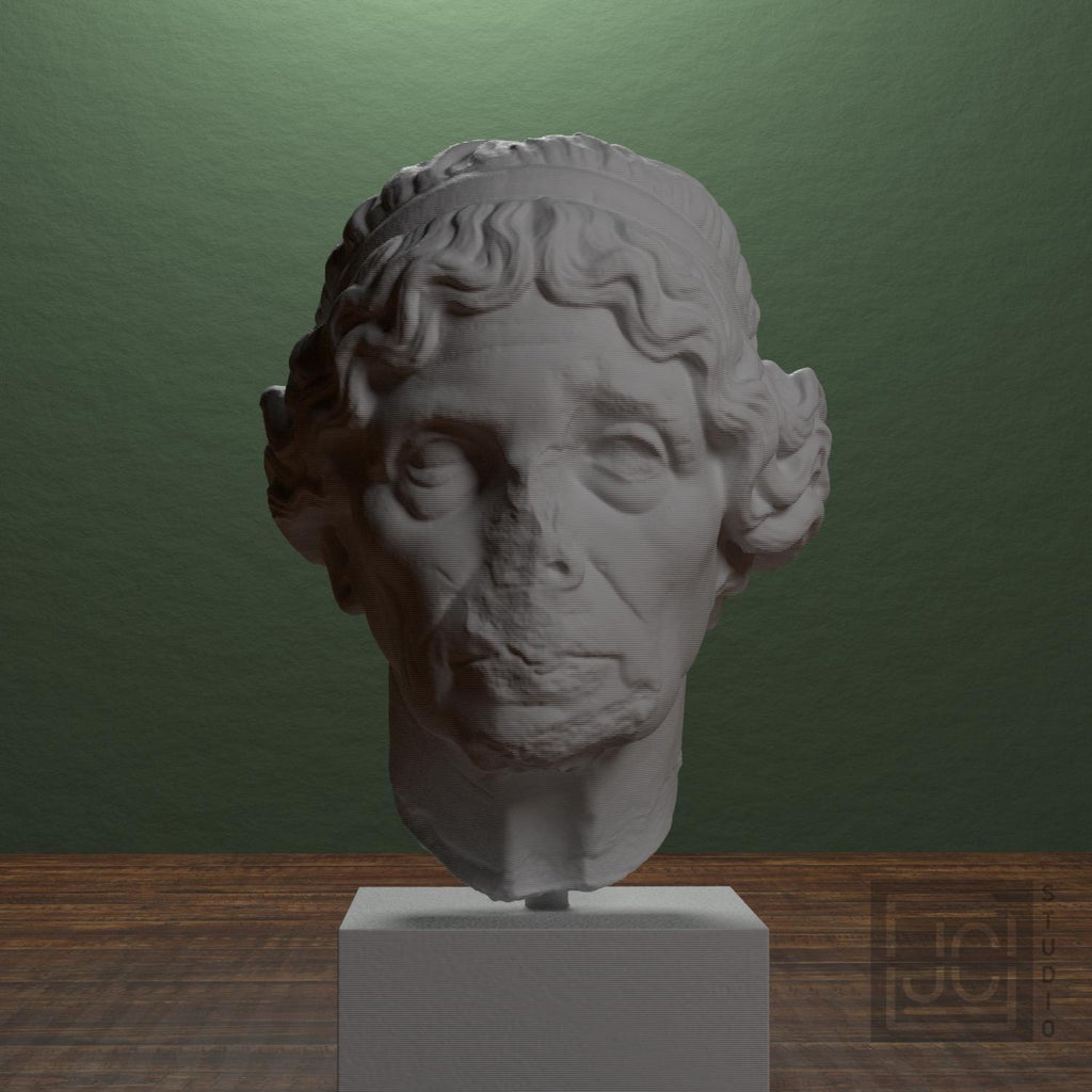 Lysimache (Elderly Woman) 3D Printed Collectible Bust