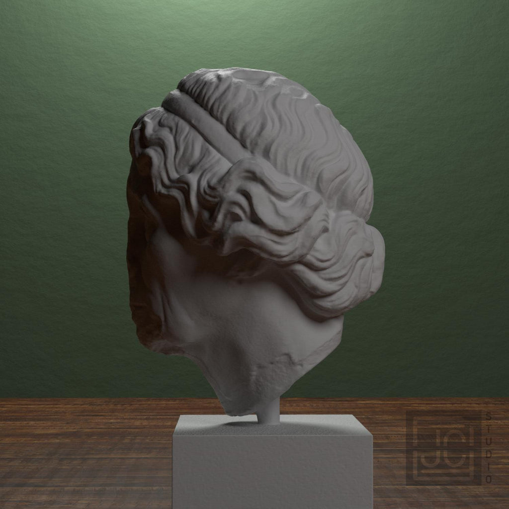 Lysimache (Elderly Woman) 3D Printed Collectible Bust