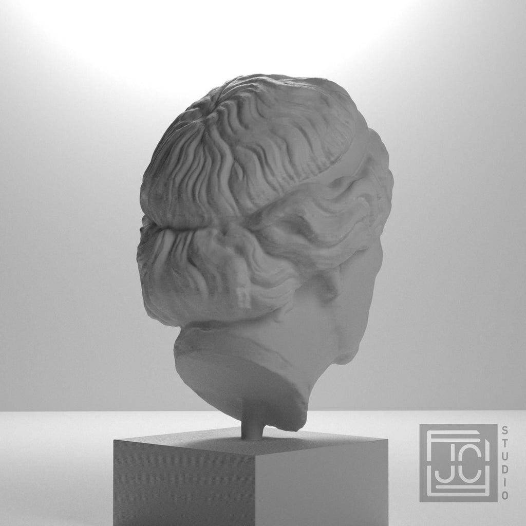 Lysimache (Elderly Woman) 3D Printed Collectible Bust