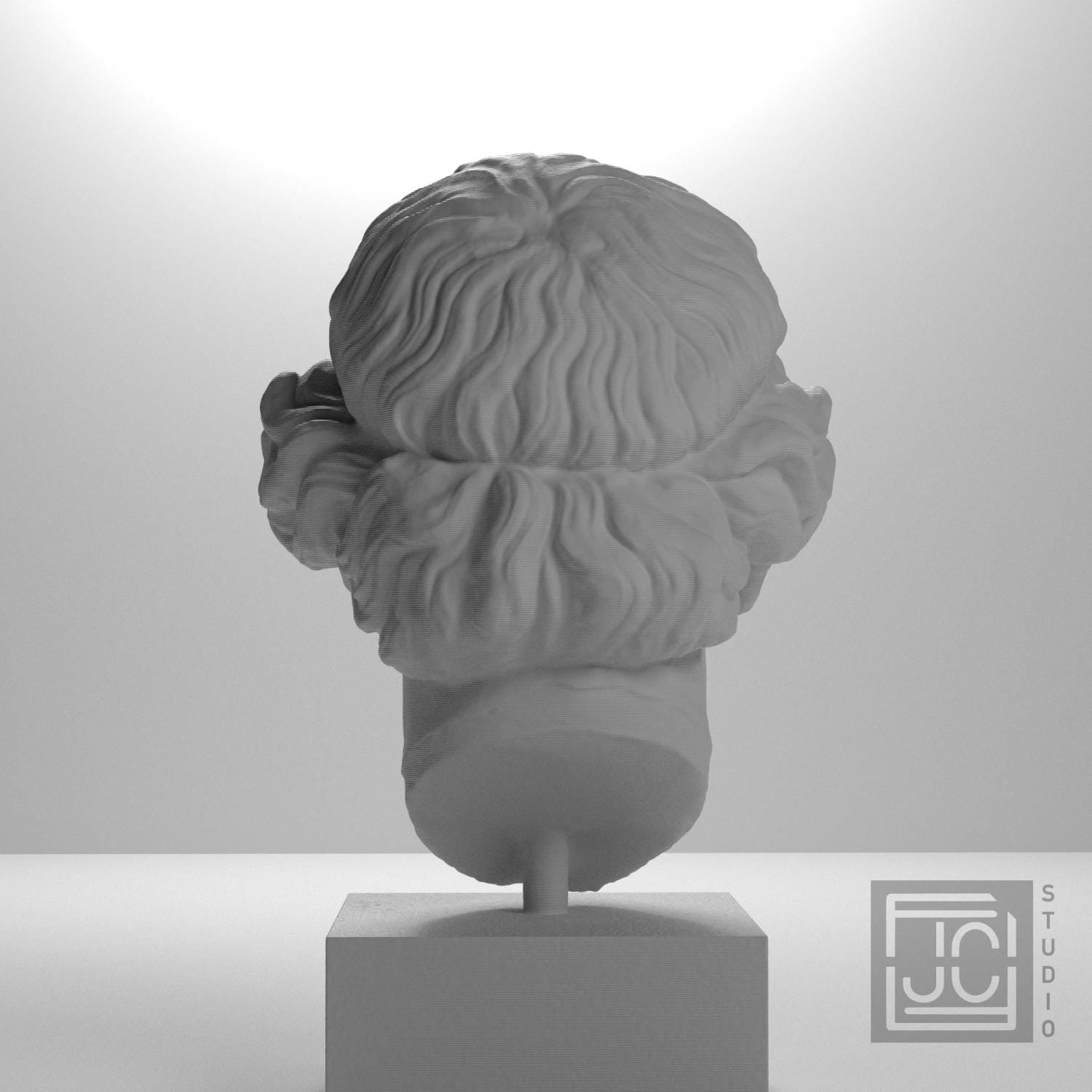 Lysimache (Elderly Woman) 3D Printed Collectible Bust