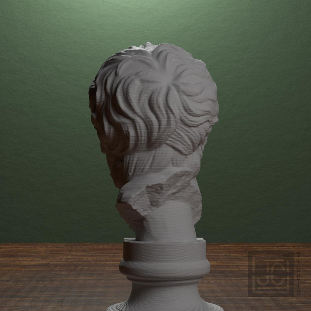 Menander 3D Printed Collectible Bust