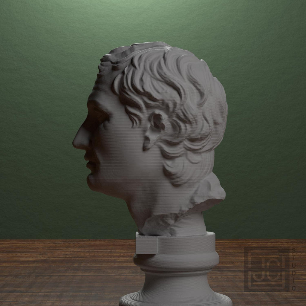 Menander 3D Printed Collectible Bust