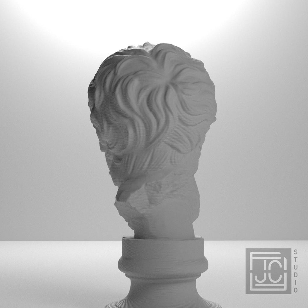 Menander 3D Printed Collectible Bust