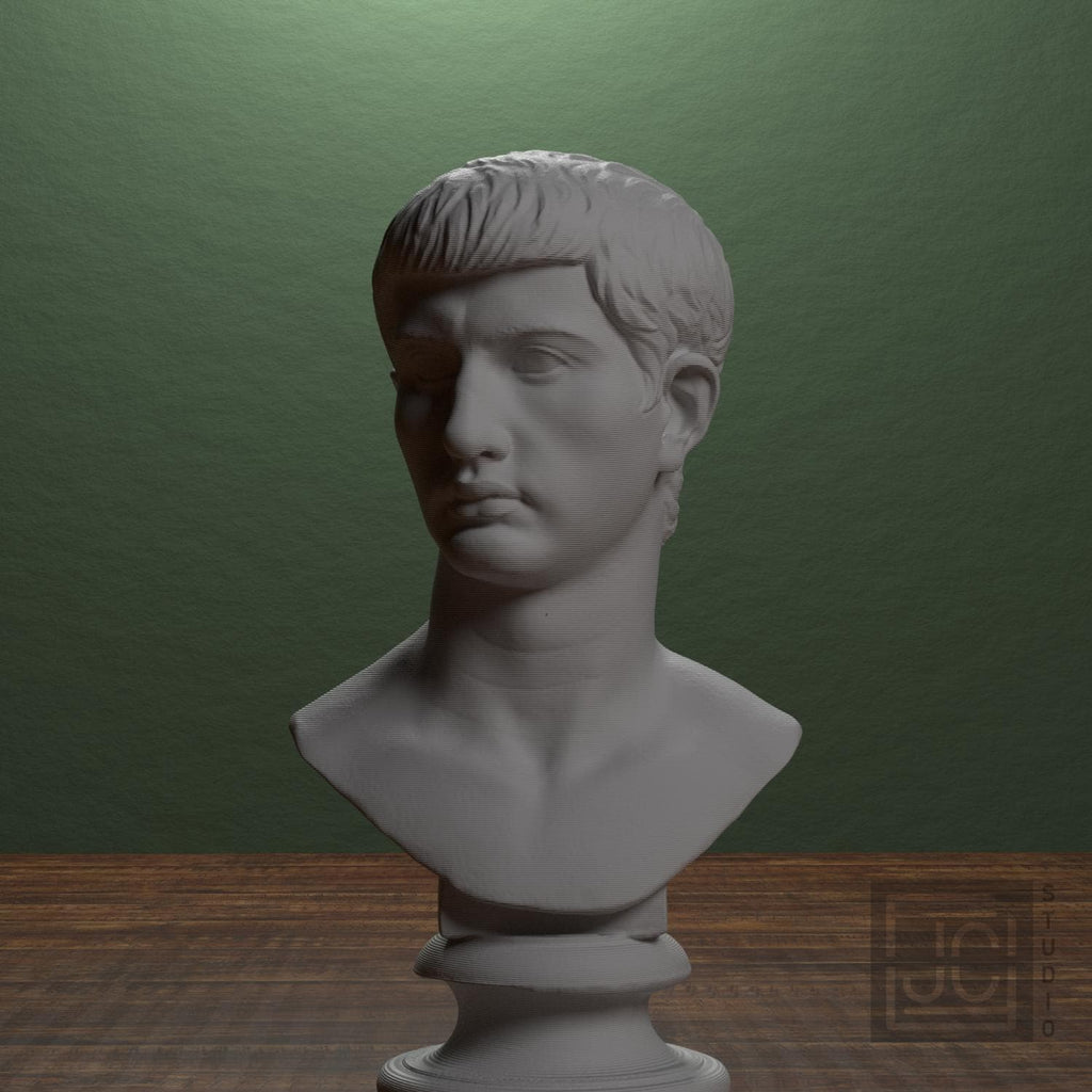 Portrait of an Augustan Prince (Possibly Marcellus) 3D Printed Collectible Bust