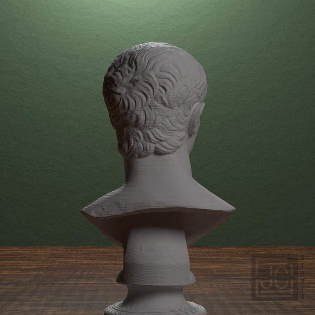 Portrait of an Augustan Prince (Possibly Marcellus) 3D Printed Collectible Bust