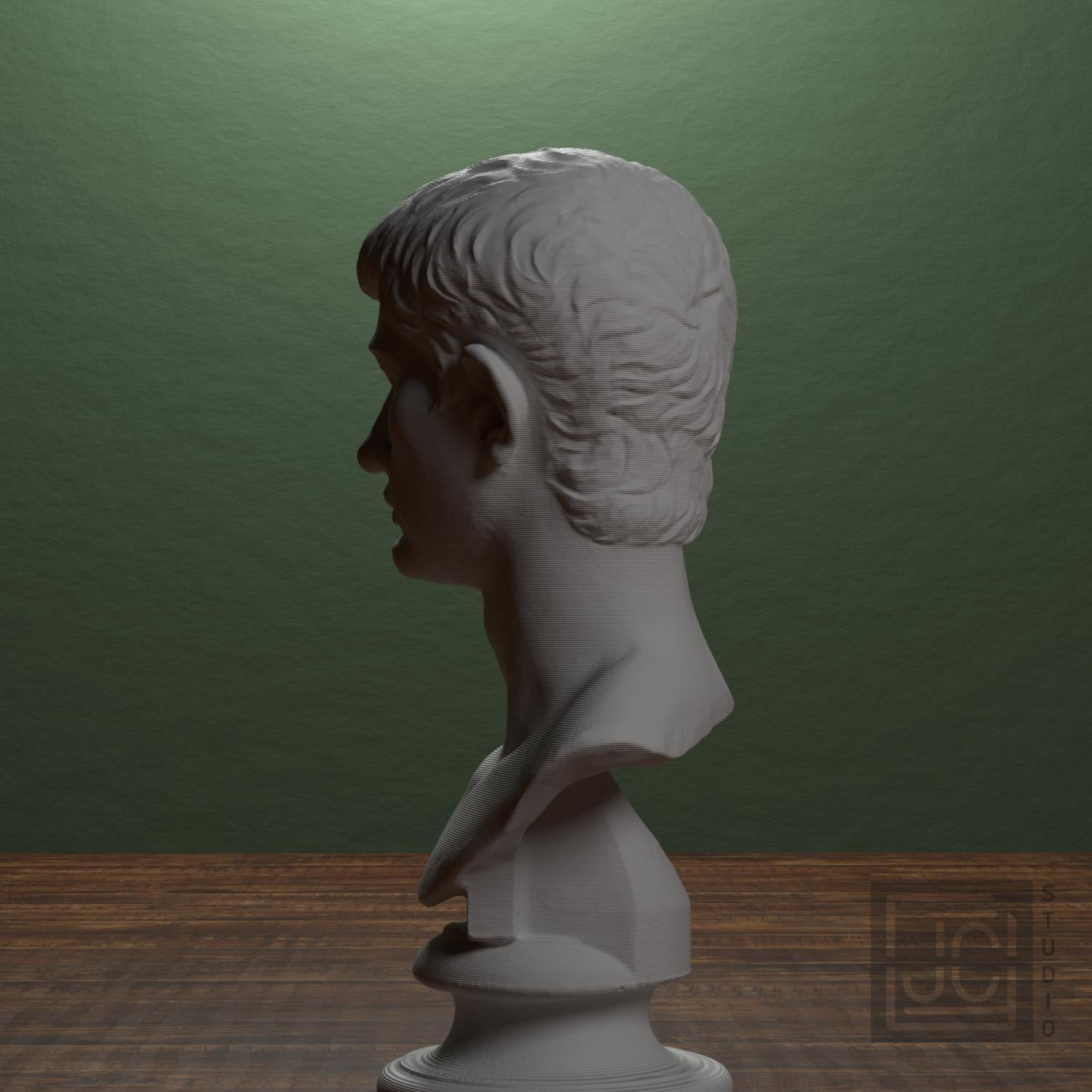 Portrait of an Augustan Prince (Possibly Marcellus) 3D Printed Collectible Bust