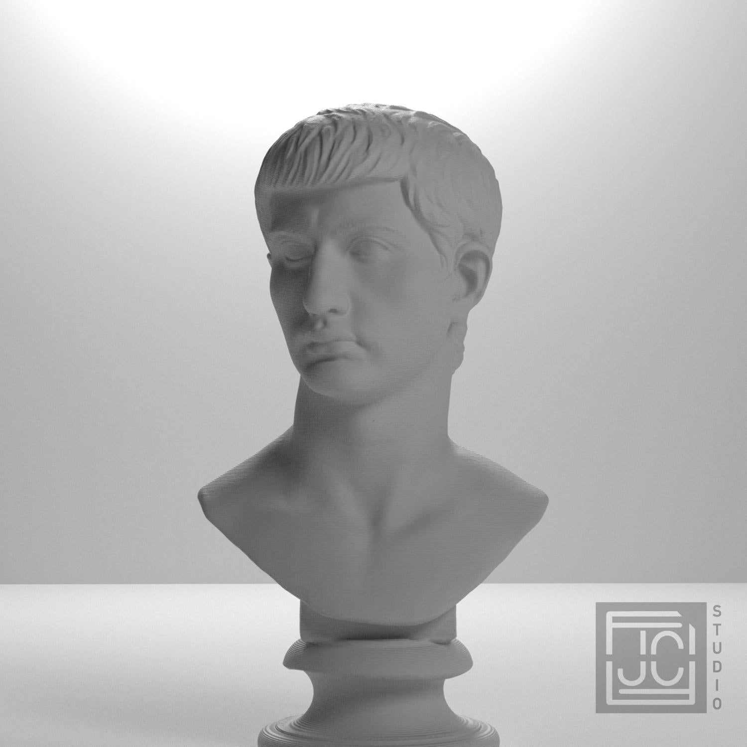Portrait of an Augustan Prince (Possibly Marcellus) 3D Printed Collectible Bust