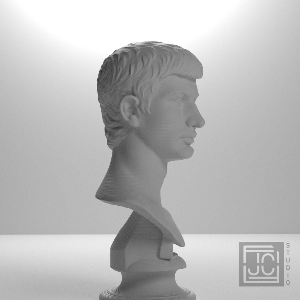 Portrait of an Augustan Prince (Possibly Marcellus) 3D Printed Collectible Bust