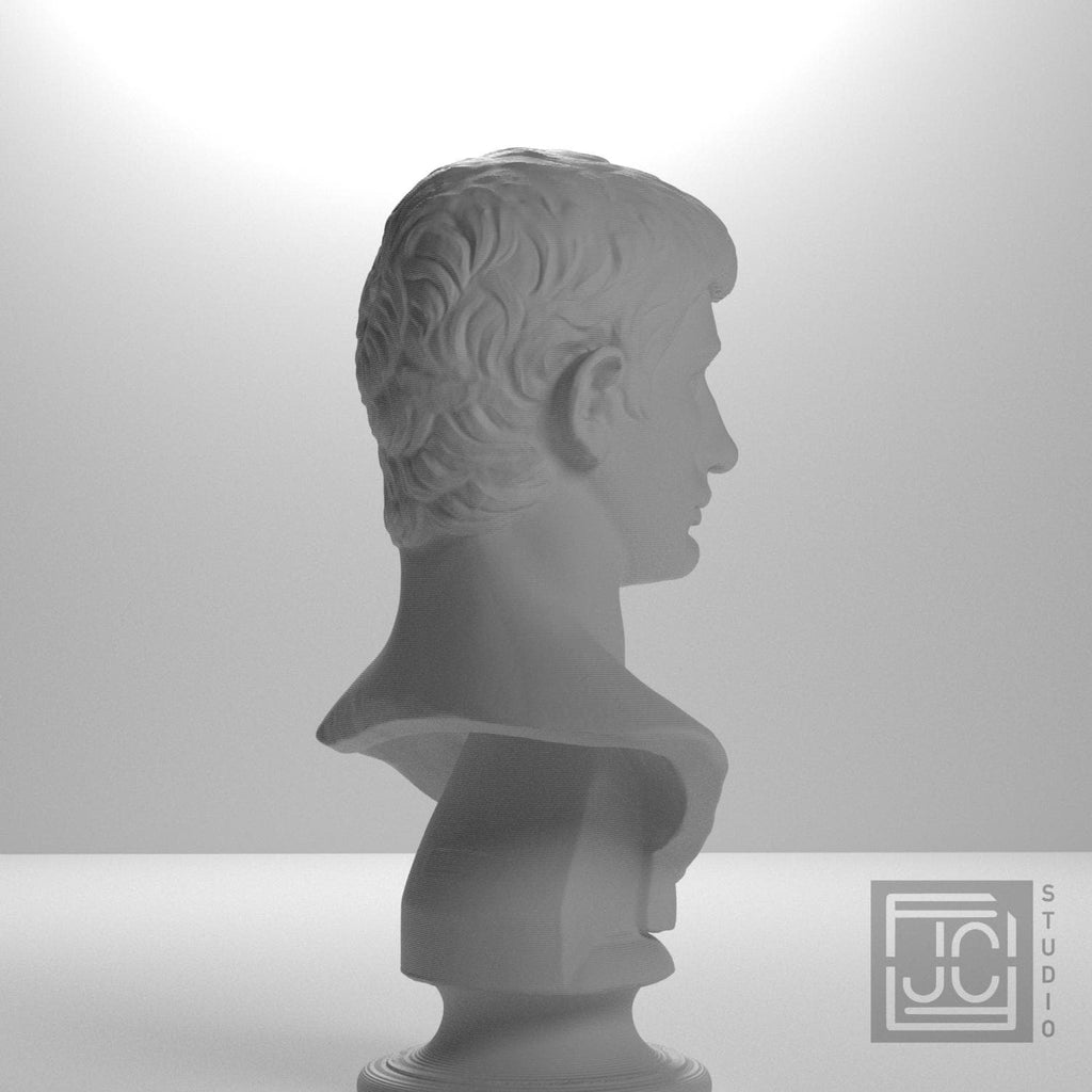 Portrait of an Augustan Prince (Possibly Marcellus) 3D Printed Collectible Bust