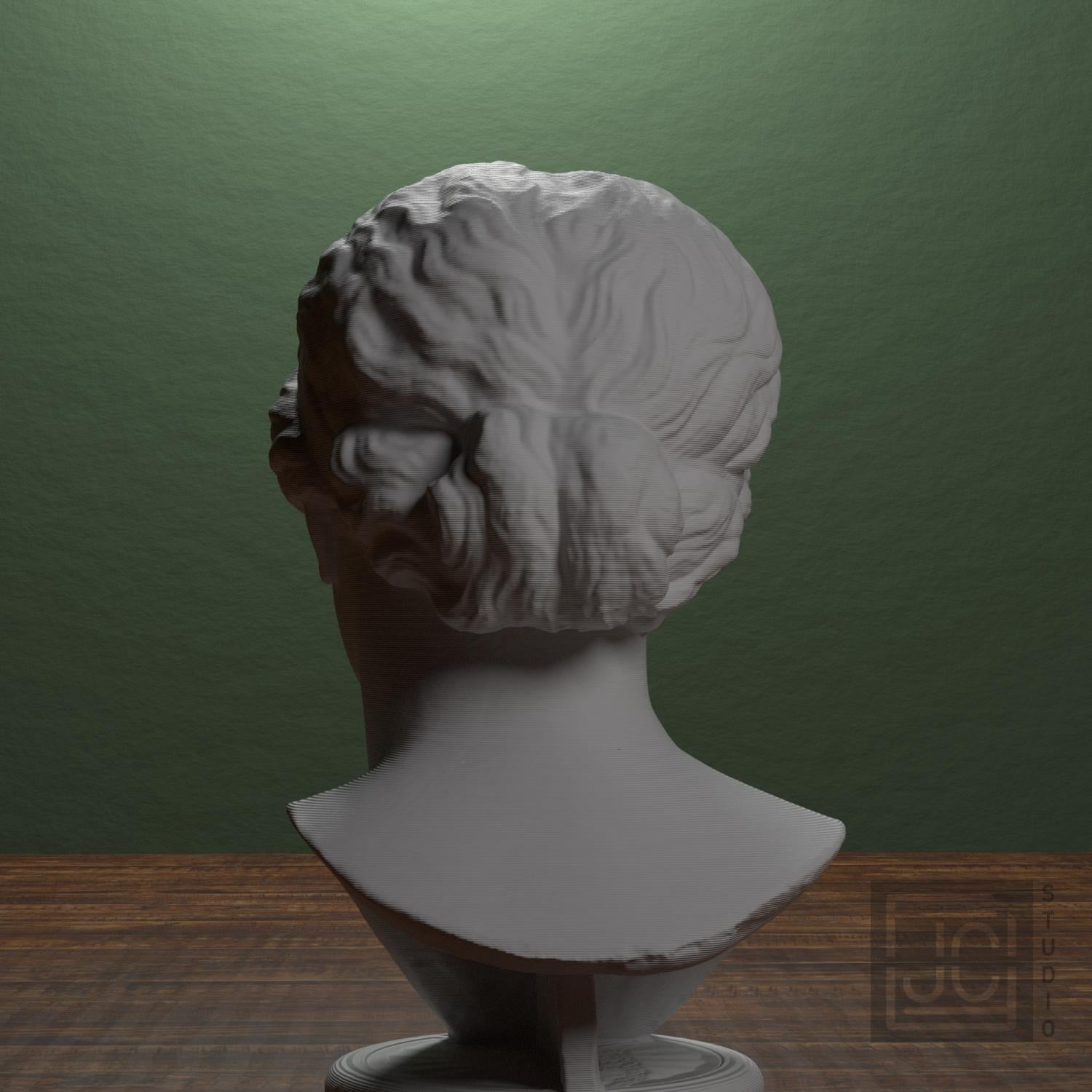 Nymph or Muse 3D Printed Collectible Bust
