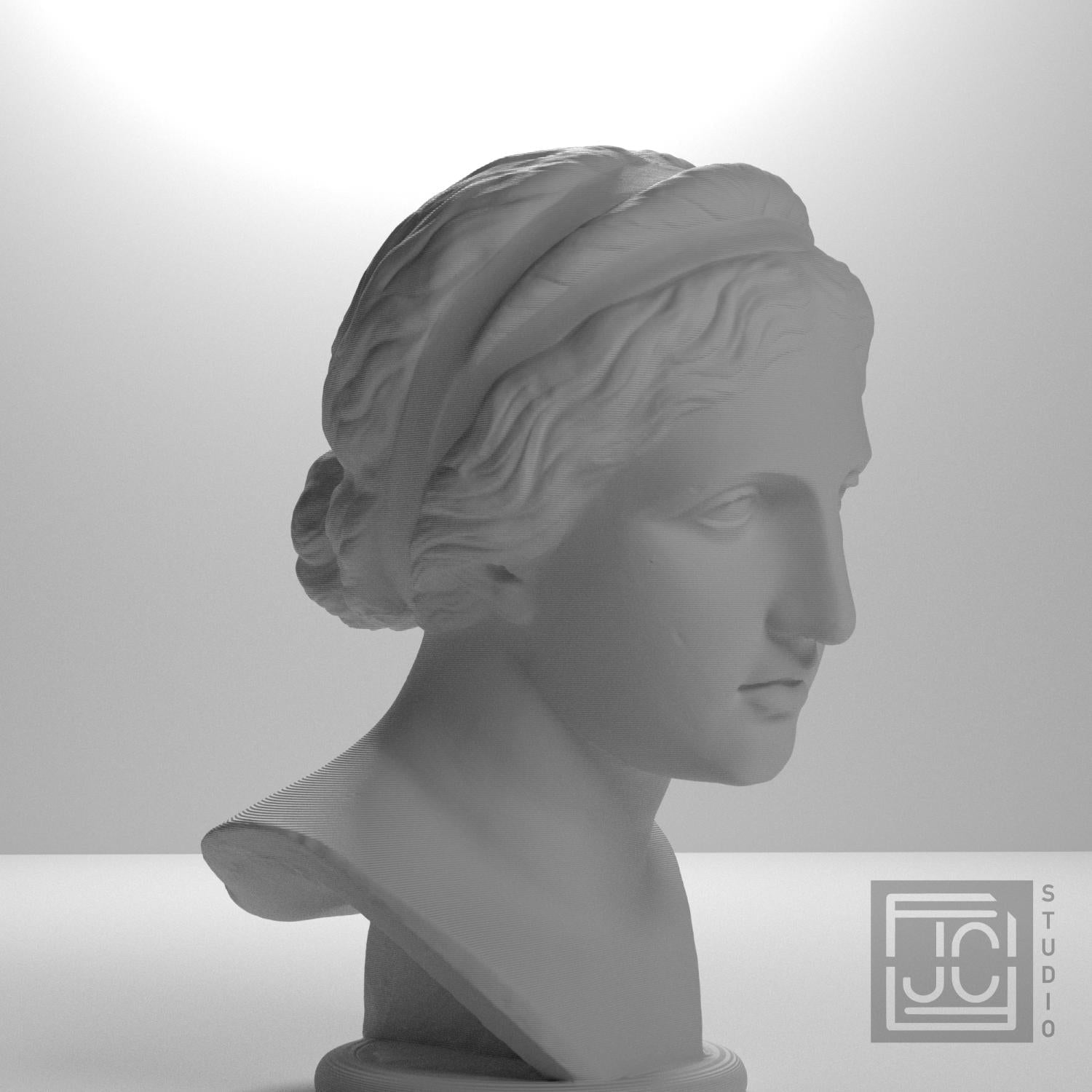 Nymph or Muse 3D Printed Collectible Bust