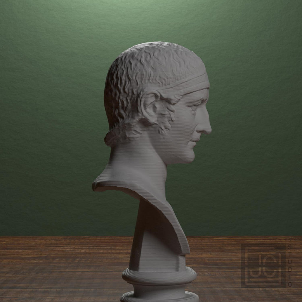 Drusus, Julio-Claudian Prince 3D Printed Collectible Bust