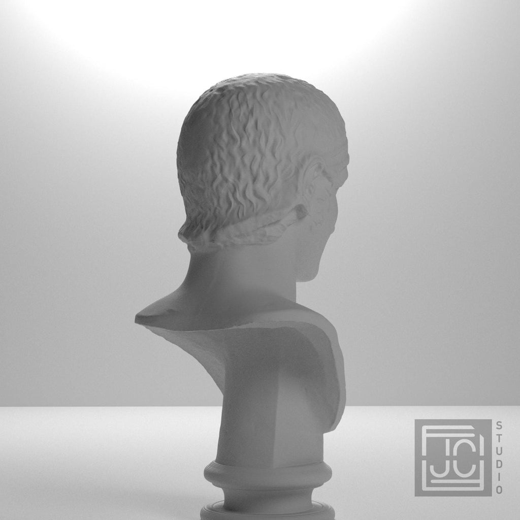 Drusus, Julio-Claudian Prince 3D Printed Collectible Bust