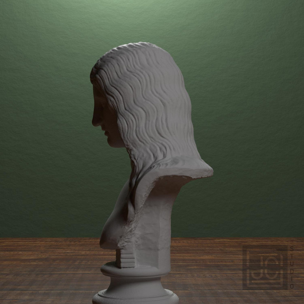 Barbarian Woman 3D Printed Collectible Bust