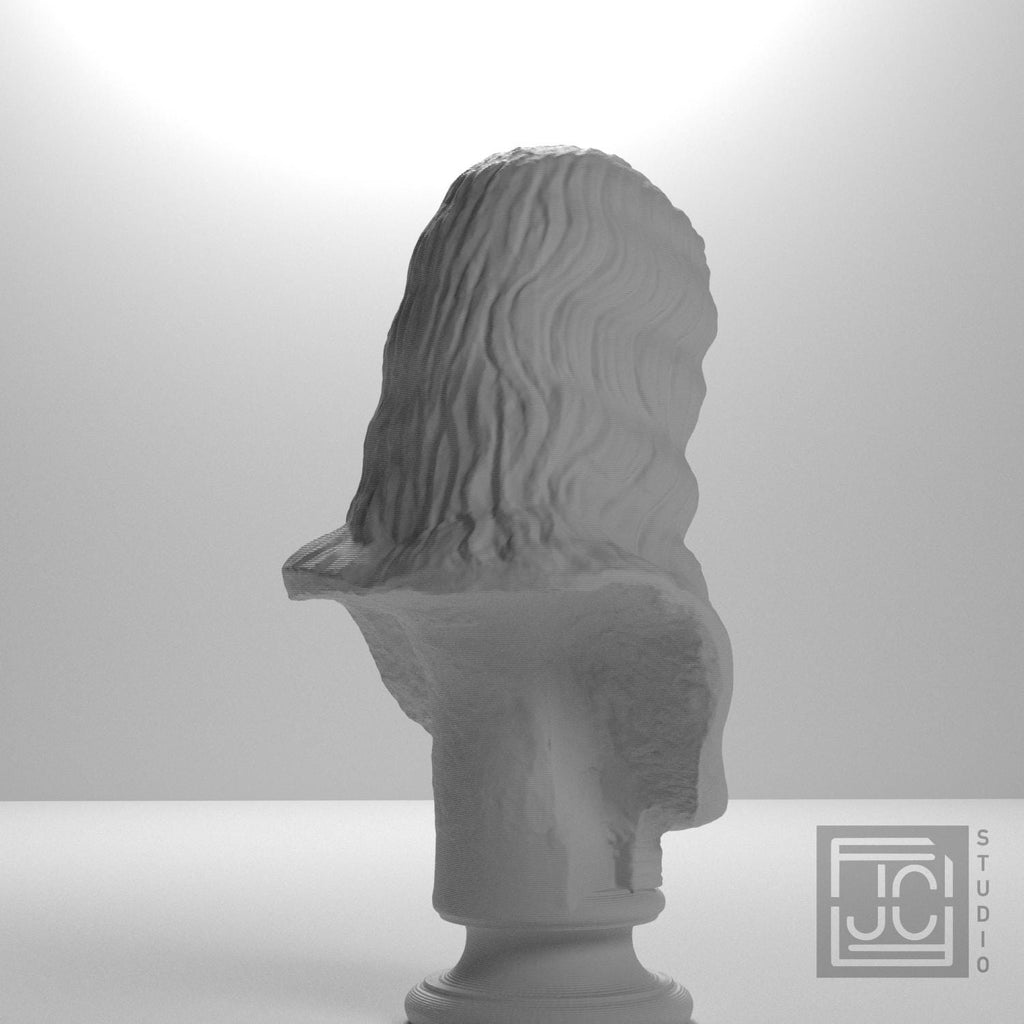 Barbarian Woman 3D Printed Collectible Bust