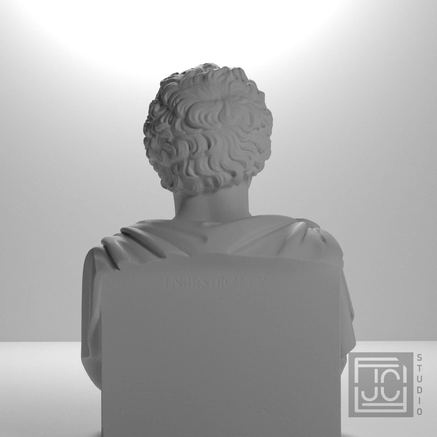 Carl XIV Johan 3D Printed Collectible Bust