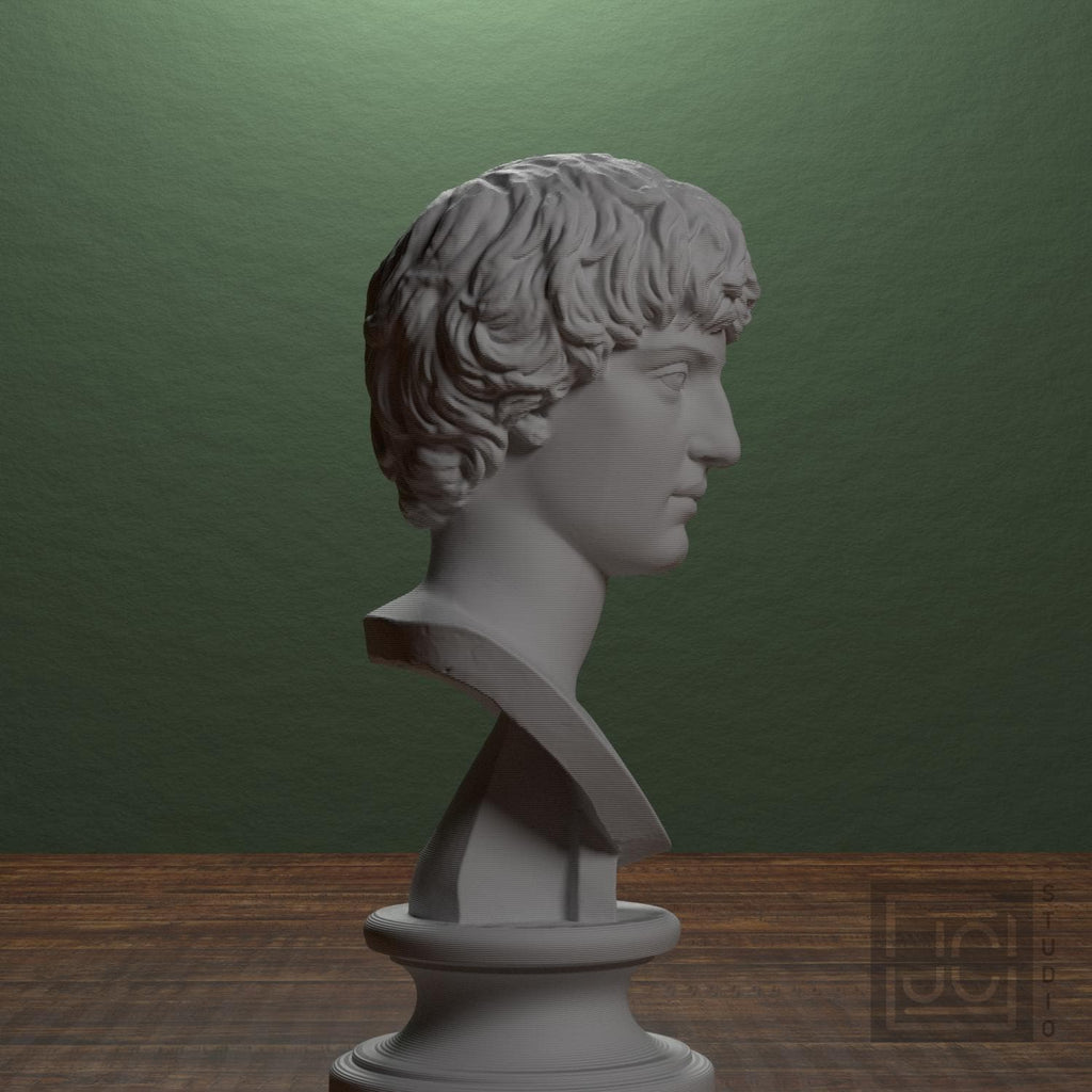 Portrait of a Man 3D Printed Museum Replica