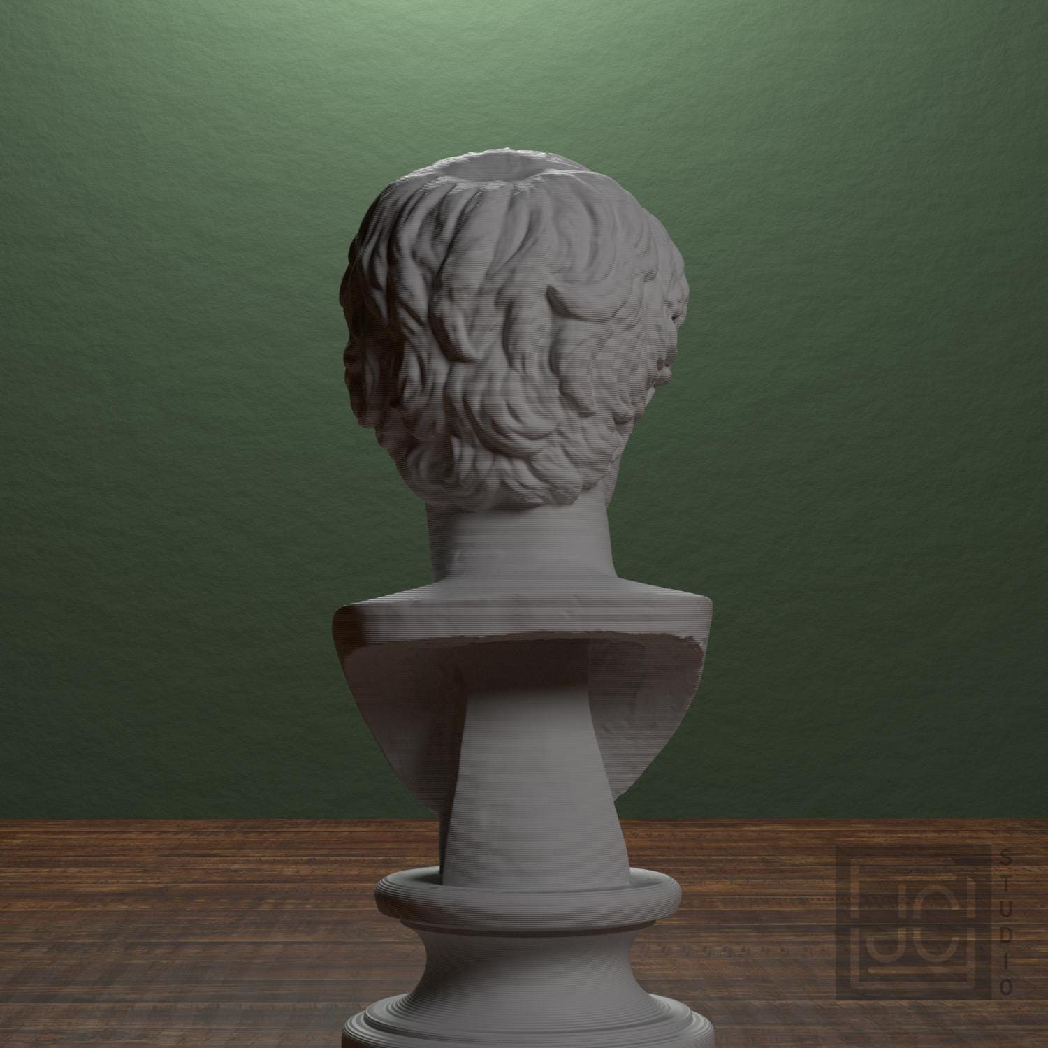 Portrait of a Man 3D Printed Museum Replica